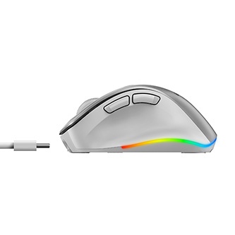 MOUSE INALAMBRICO ERGO 9000S GENIUS 