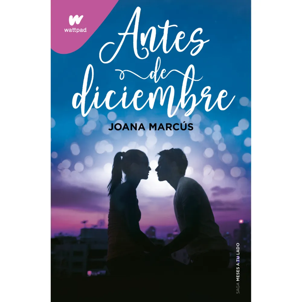 [029903] LIBRO ANTES DE DICIEMBRE -JOANA MARCUS