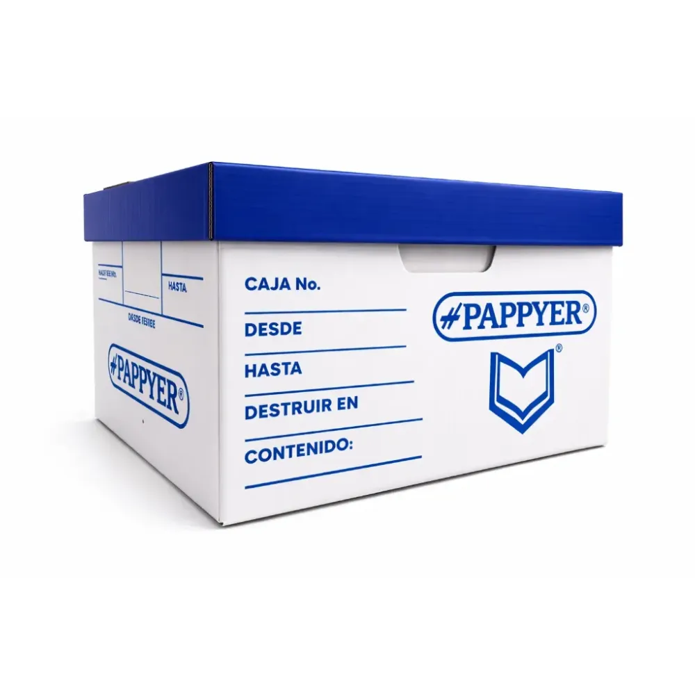 [027041] CAJA ARCHIVO PAPPYER #20 