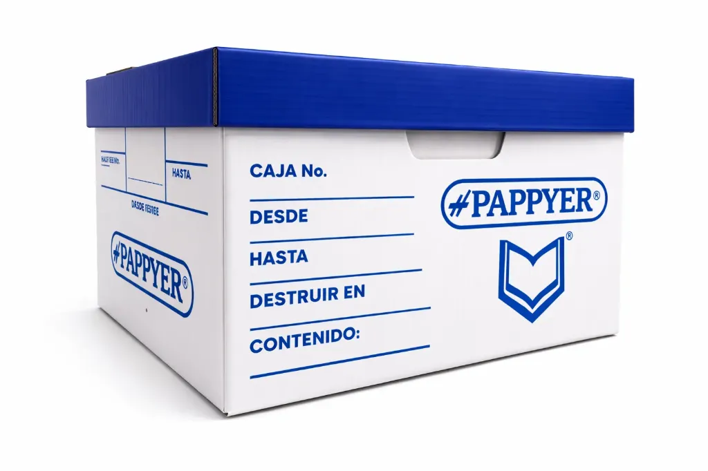 [027041] CAJA ARCHIVO PAPPYER #20 