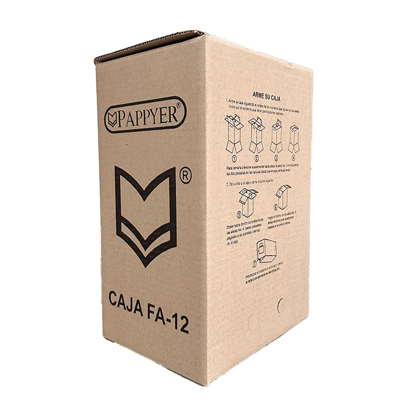 CAJA ARCHIVO PAPPYER #12